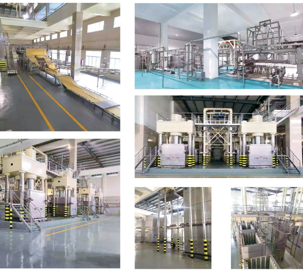 Instant Noodle Processing Line